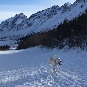 Meet your Posher, Vickie